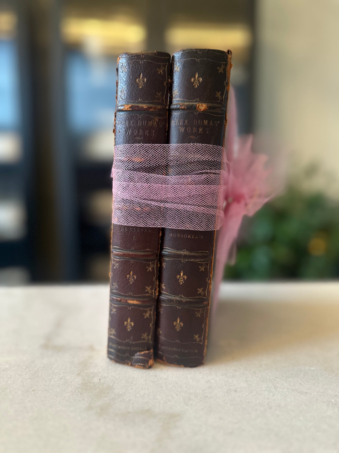 Alexandre Dumas Book Pair with Pink Bow and Modern Cameo