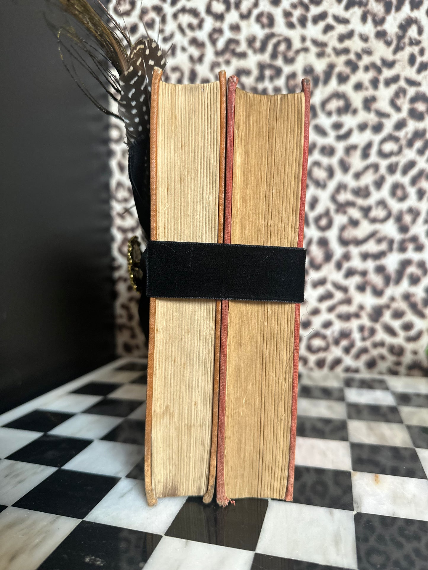 Orange Book Bundle with Feathers & Cameo
